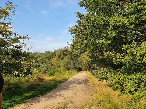 MTB-route Groesbeek, Rijk van Nijmegen — foto 4