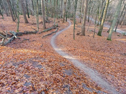 MTB-route Harderwijk, Veluwe — foto 3