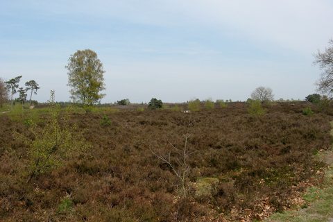 MTB-route Hattem, Gelderland — foto 2