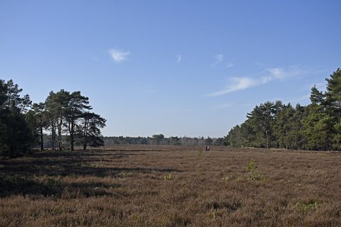 MTB-route Hattem, Gelderland — foto 3