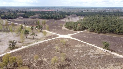 MTB-route Hattem, Gelderland — foto 4