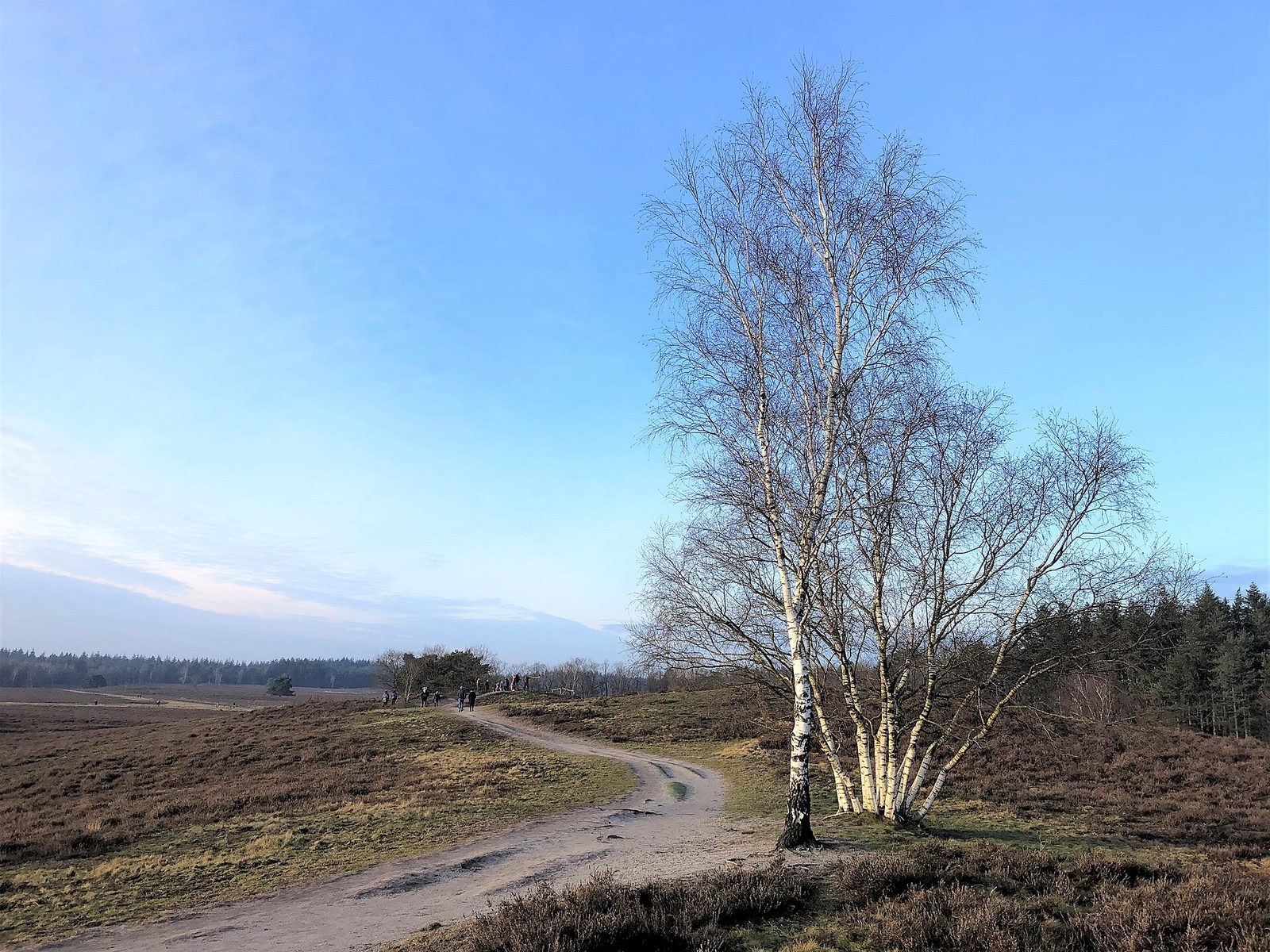 MTB-route Heerde, Gelderland — foto 1