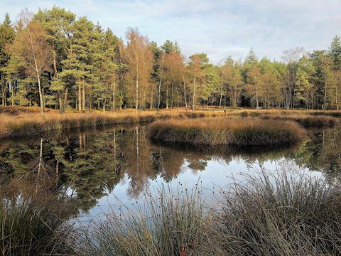 MTB-route Heerde, Gelderland — foto 2