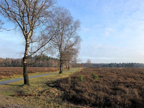 MTB-route Heerde, Gelderland — foto 3