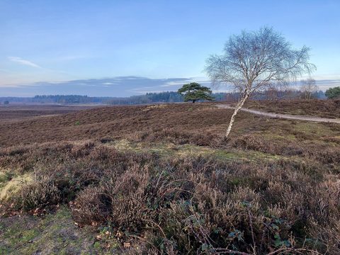 MTB-route Heerde, Gelderland — foto 4