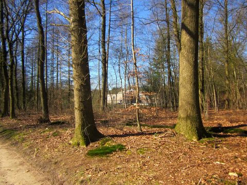 MTB-route Hoenderloo (Kinderroute), Veluwe — foto 2