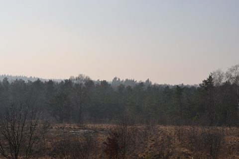 MTB-route Hoenderloo (Kinderroute), Veluwe — foto 3
