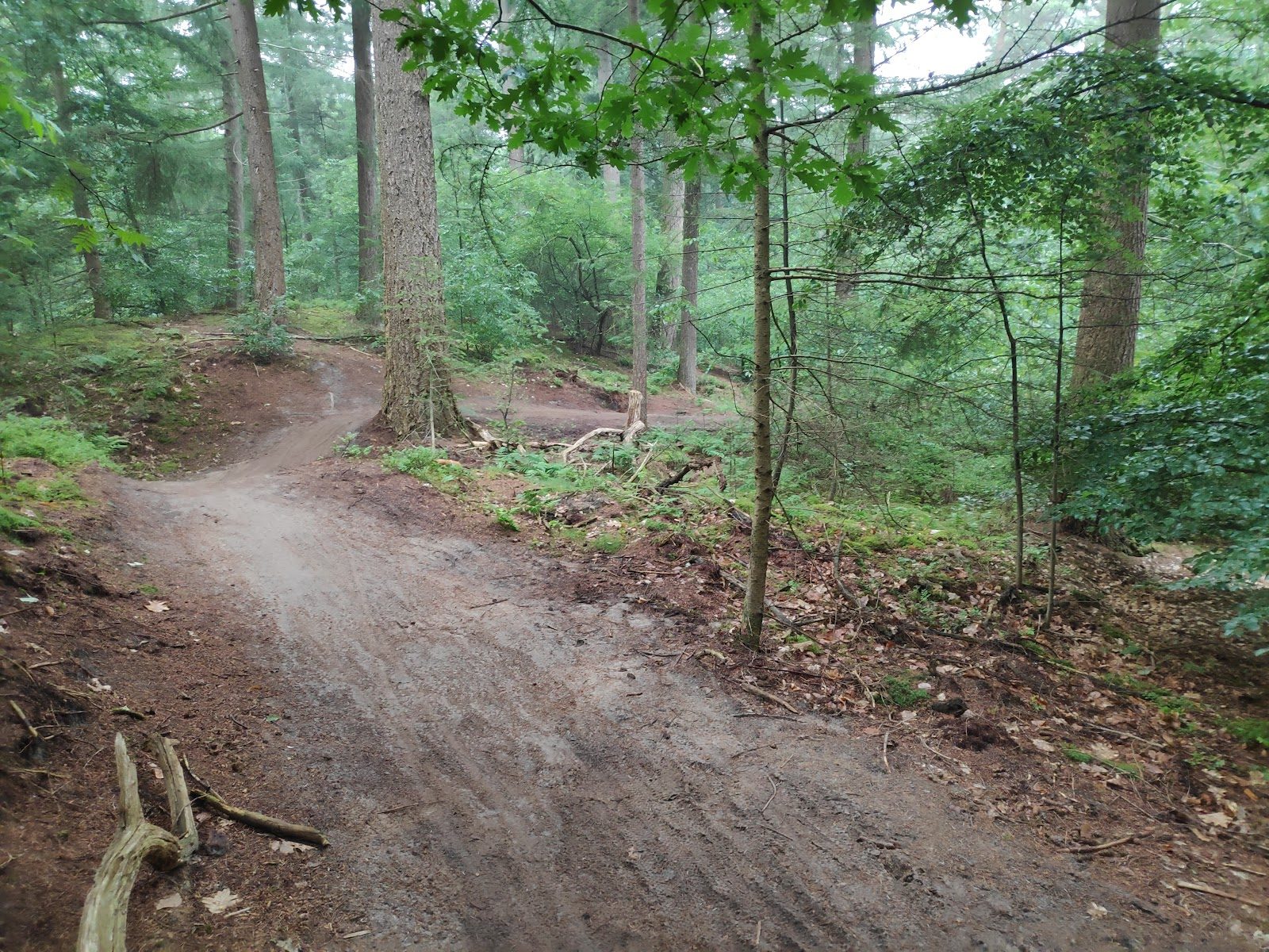 MTB-route Lunteren, Veluwe — foto 1