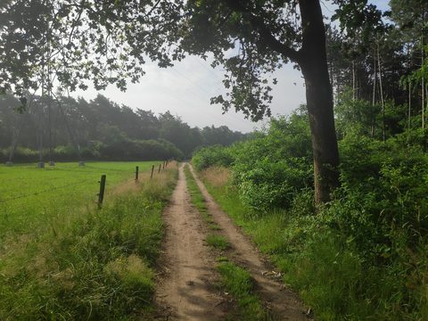 MTB-route Lunteren, Veluwe — foto 2
