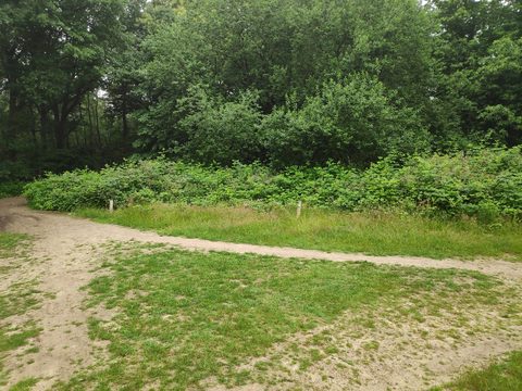 MTB-route Lunteren, Veluwe — foto 3