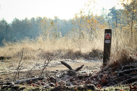 MTB-route MTB Zuid Veluwe (Combi Routes), Veluwe — foto 2