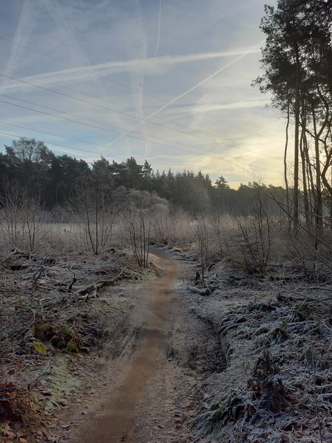 MTB-route MTB Zuid Veluwe (Combi Routes), Veluwe — foto 4