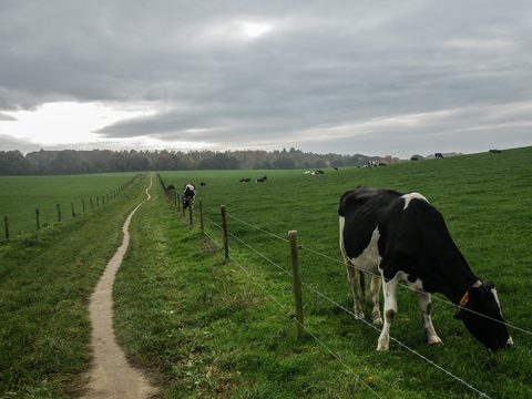 Foto van de route Nijmegen