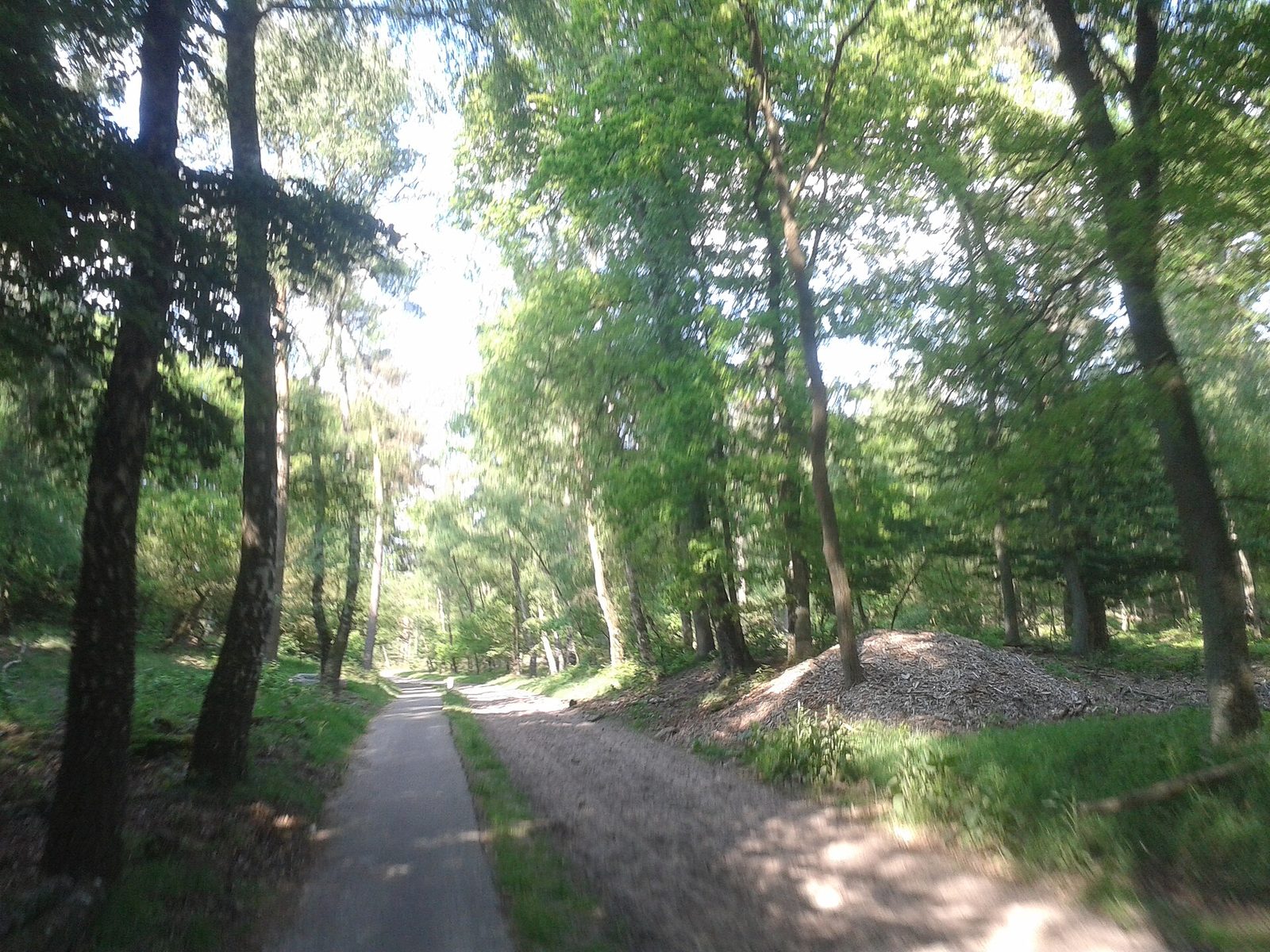 MTB-route Otterlo, Veluwe — foto 1