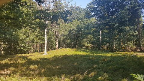 MTB-route Otterlo, Veluwe — foto 3