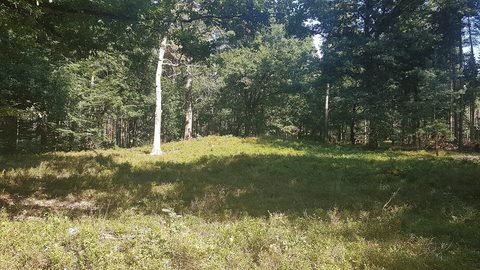 MTB-route Otterlo, Veluwe — foto 4