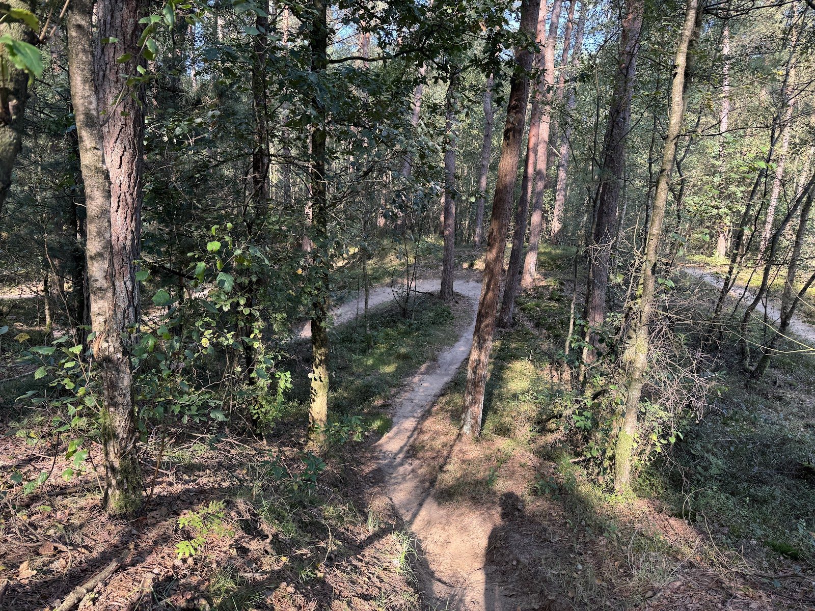 Rheden (Gravel), Veluwezoom — foto 1