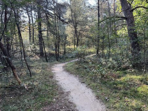 MTB-route Rheden (Kinderroute), Veluwezoom — foto 2