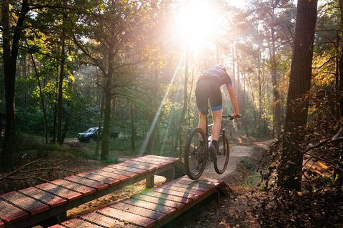 MTB-route Rheden, Veluwezoom — foto 3