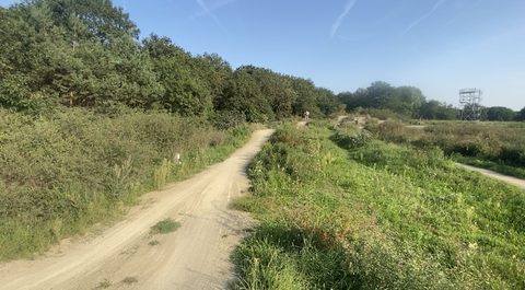 MTB-route Rijk van Nijmegen Combi (Combi Routes), Rijk van Nijmegen — foto 3