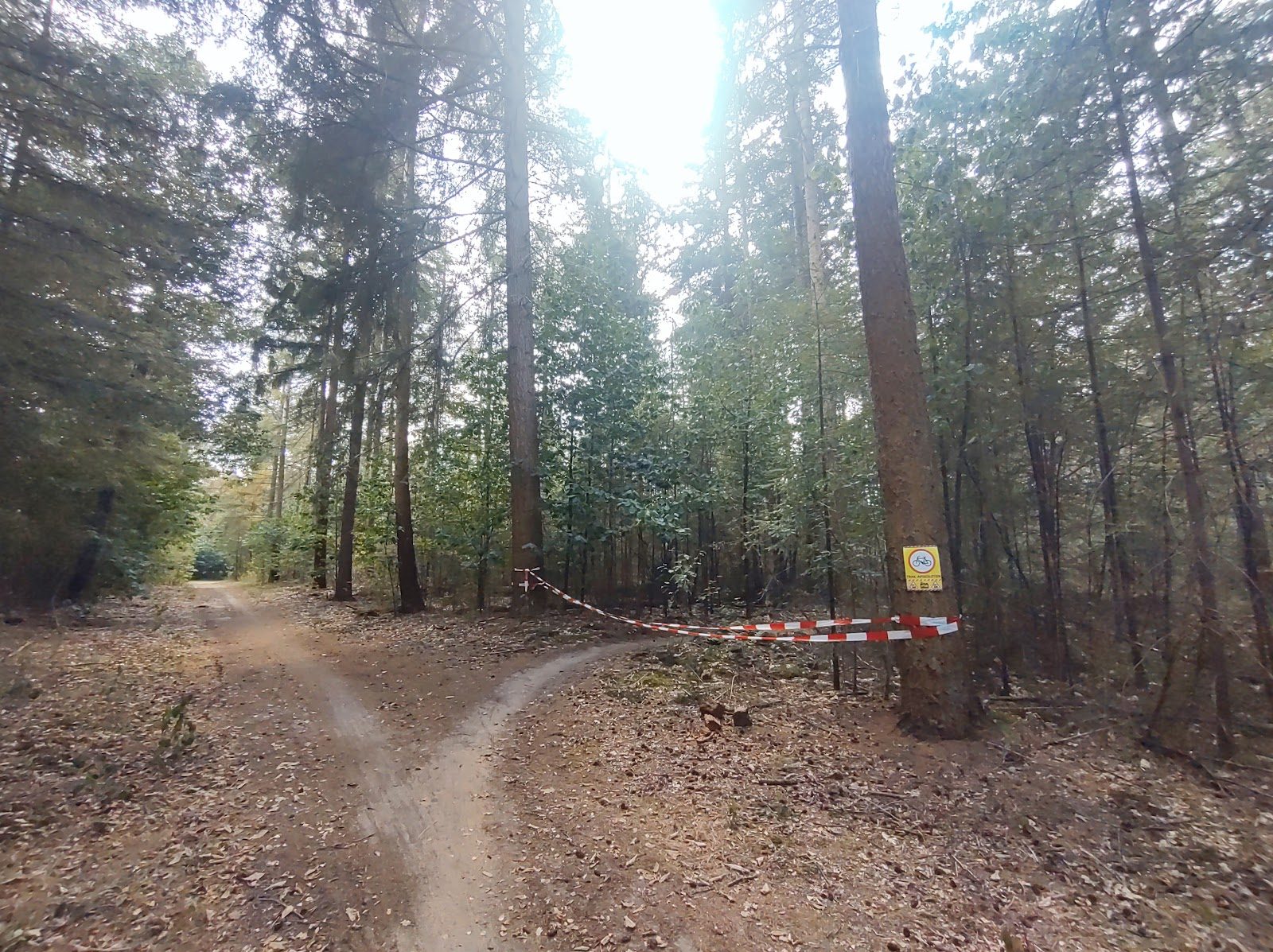 MTB-route Schaarsbergen, Veluwe — foto 1