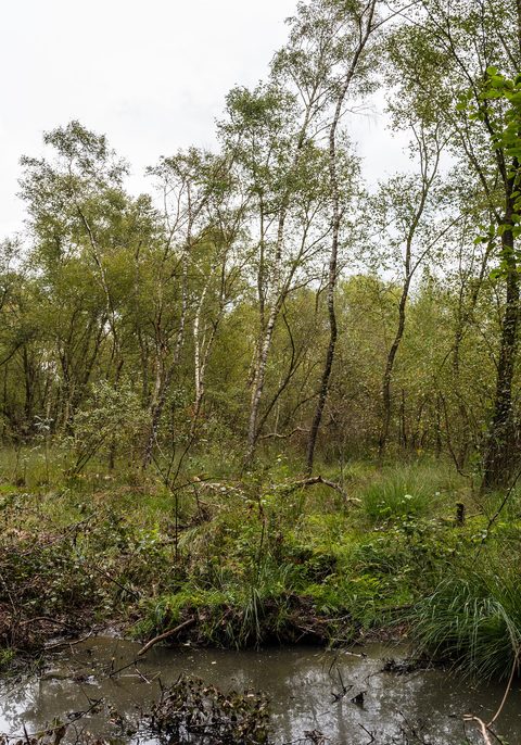 Vragender (Gravel), Achterhoek — foto 2