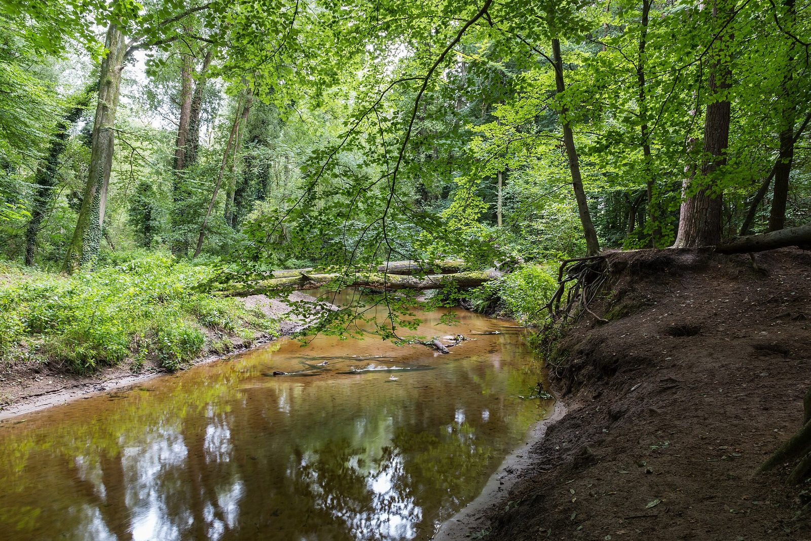 Winterswijk (Gravel), Achterhoek — foto 1