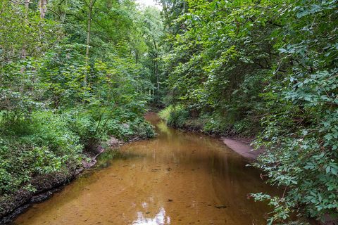 MTB-route Winterswijk, Achterhoek — foto 2