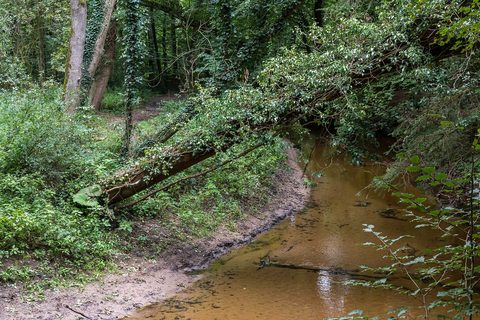 MTB-route Winterswijk, Achterhoek — foto 3