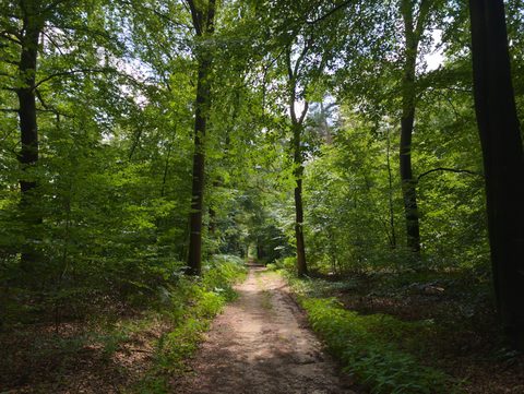 Zeddam (Gravel), Montferland — foto 2