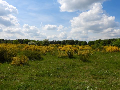 Foto van de route Zeddam