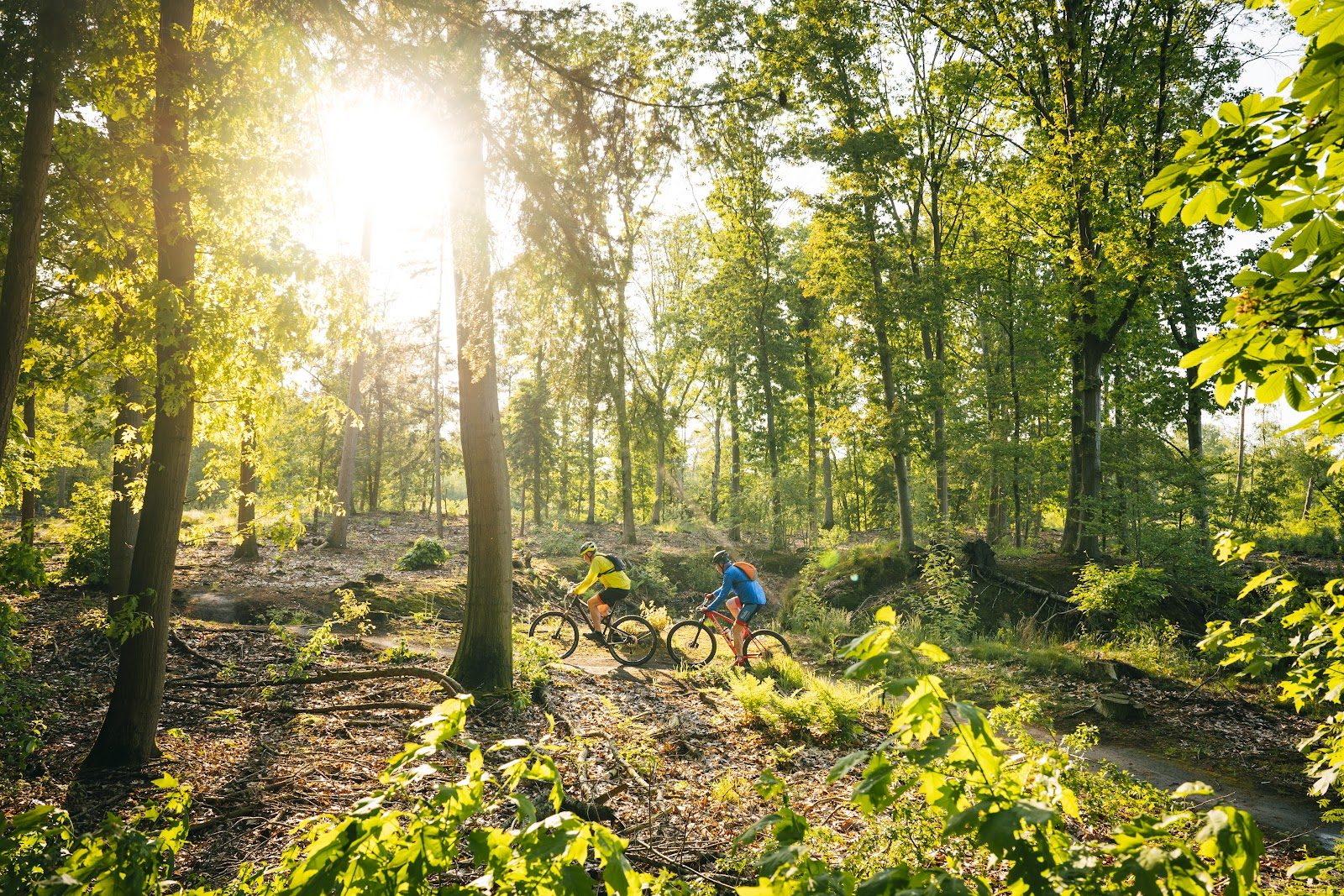 MTB-route Zelhem, Achterhoek — foto 1
