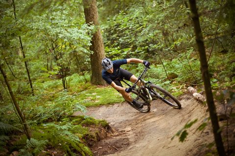 MTB-route Zutphen, Achterhoek — foto 4