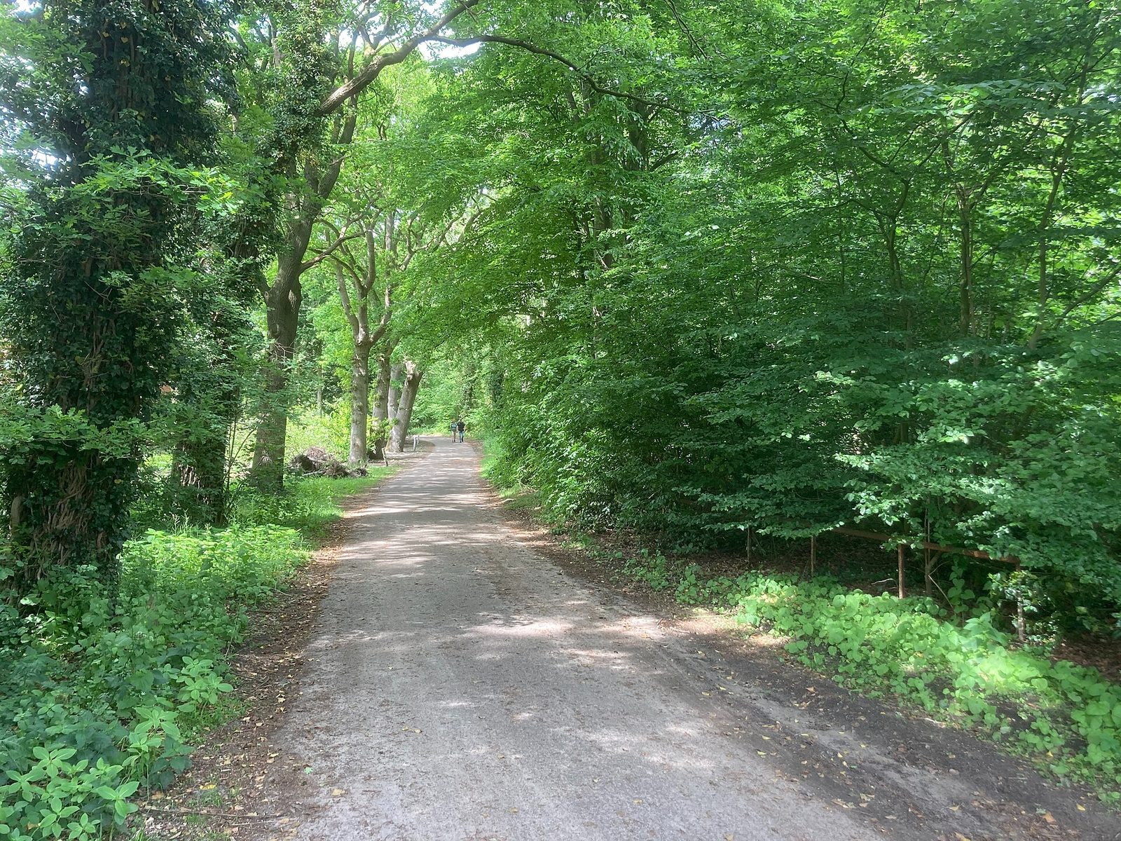 MTB-route Bellingwolde, Groningen — foto 1