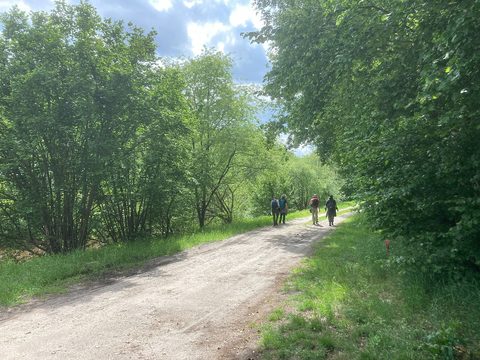 MTB-route Bellingwolde, Groningen — foto 2