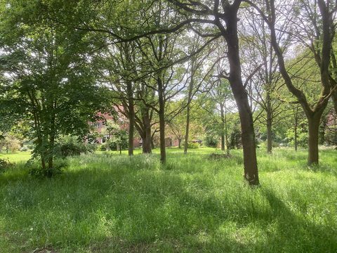 MTB-route Bellingwolde, Groningen — foto 3