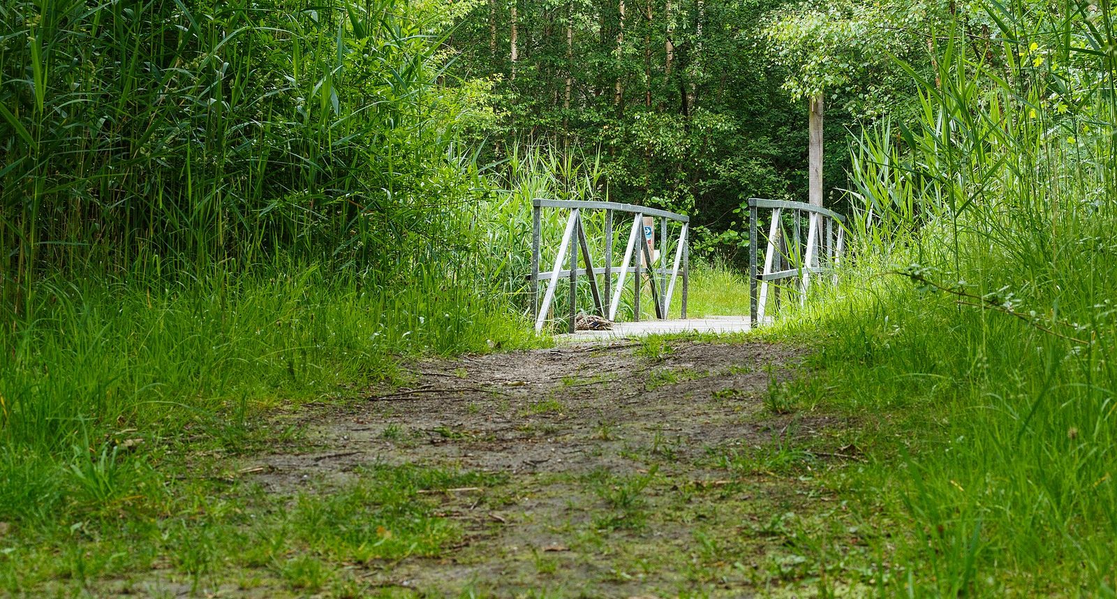 MTB-route Lauwersoog, Groningen — foto 1