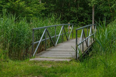 MTB-route Lauwersoog, Groningen — foto 2