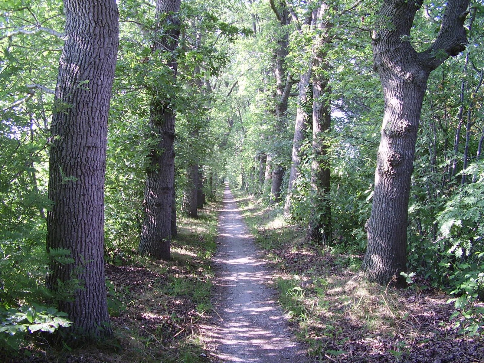 MTB-route Marum, Groningen — foto 1