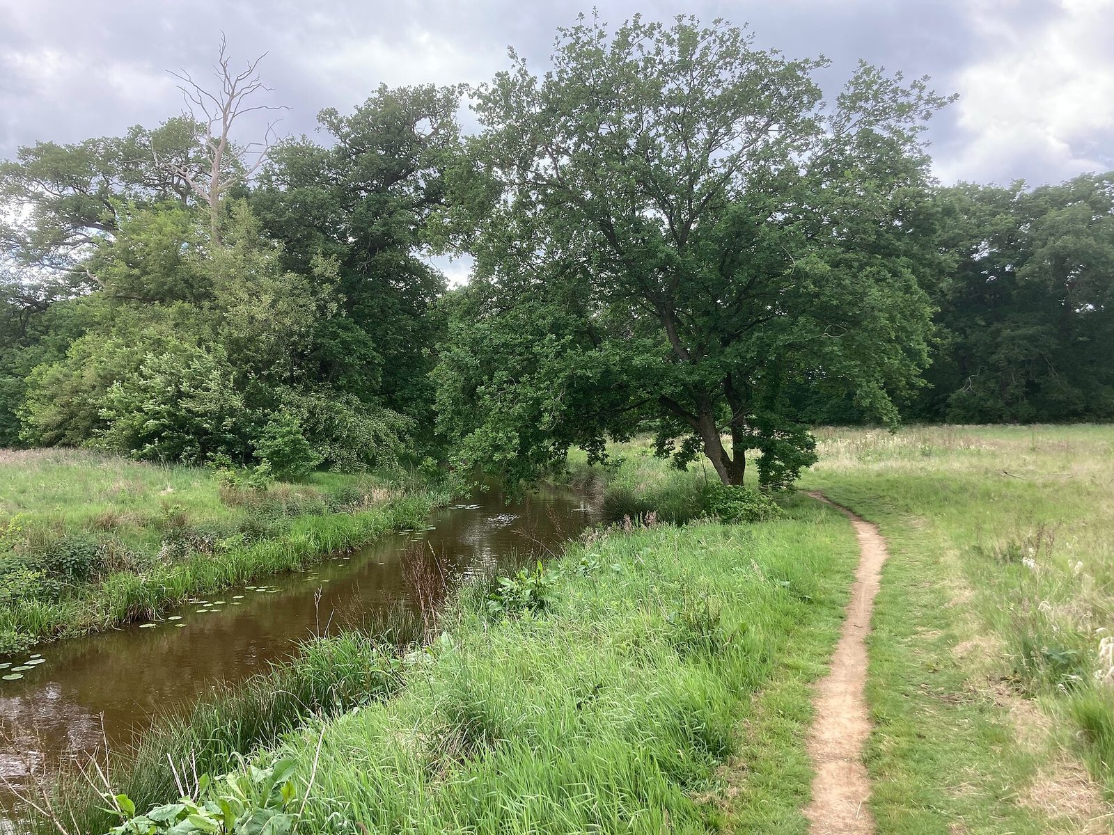 MTB-route Sellingen, Groningen — foto 1