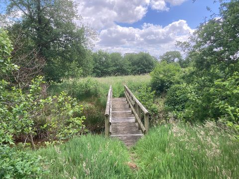 MTB-route Sellingen, Groningen — foto 2