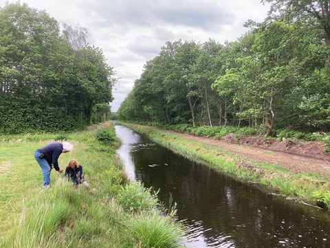 MTB-route Sellingen, Groningen — foto 3