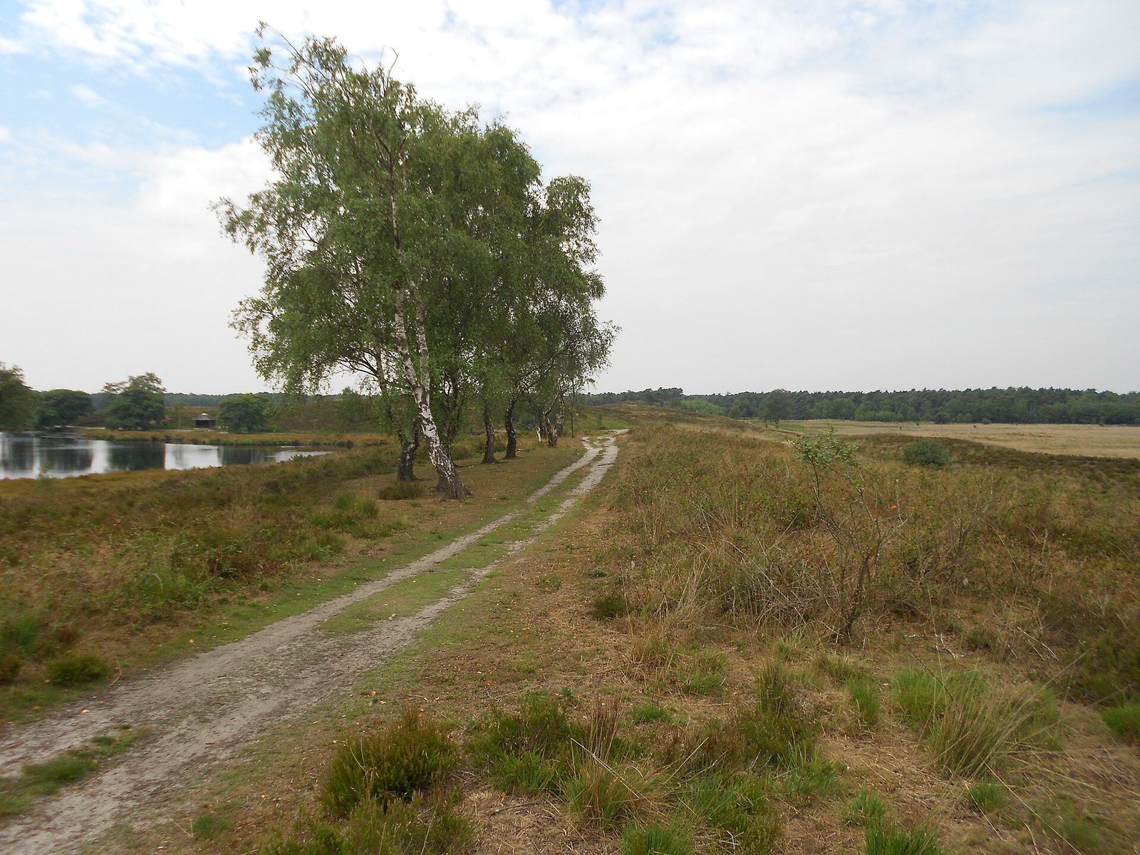 MTB-route Bergen, Limburg — foto 1