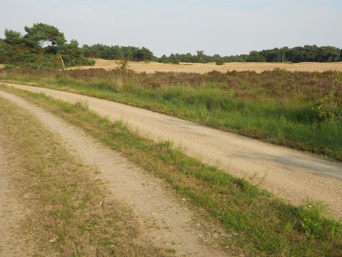 MTB-route Bergen, Limburg — foto 2
