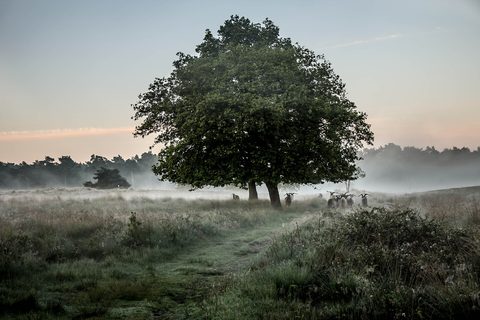 MTB-route Bergen, Limburg — foto 3