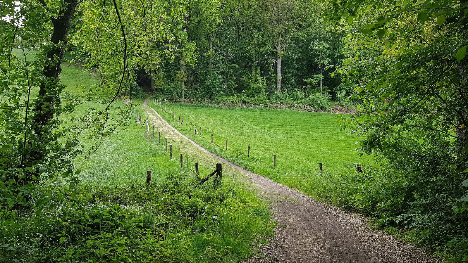 MTB-route Gulpen, Zuid-Limburg — foto 1