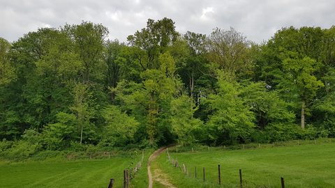 MTB-route Gulpen, Zuid-Limburg — foto 2