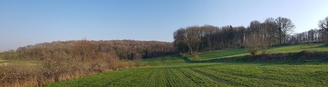 MTB-route Gulpen, Zuid-Limburg — foto 3