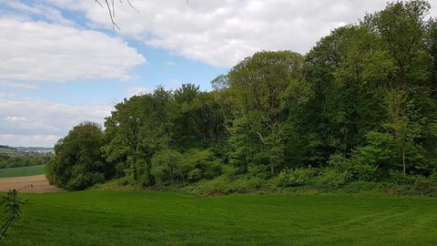 MTB-route Gulpen, Zuid-Limburg — foto 4