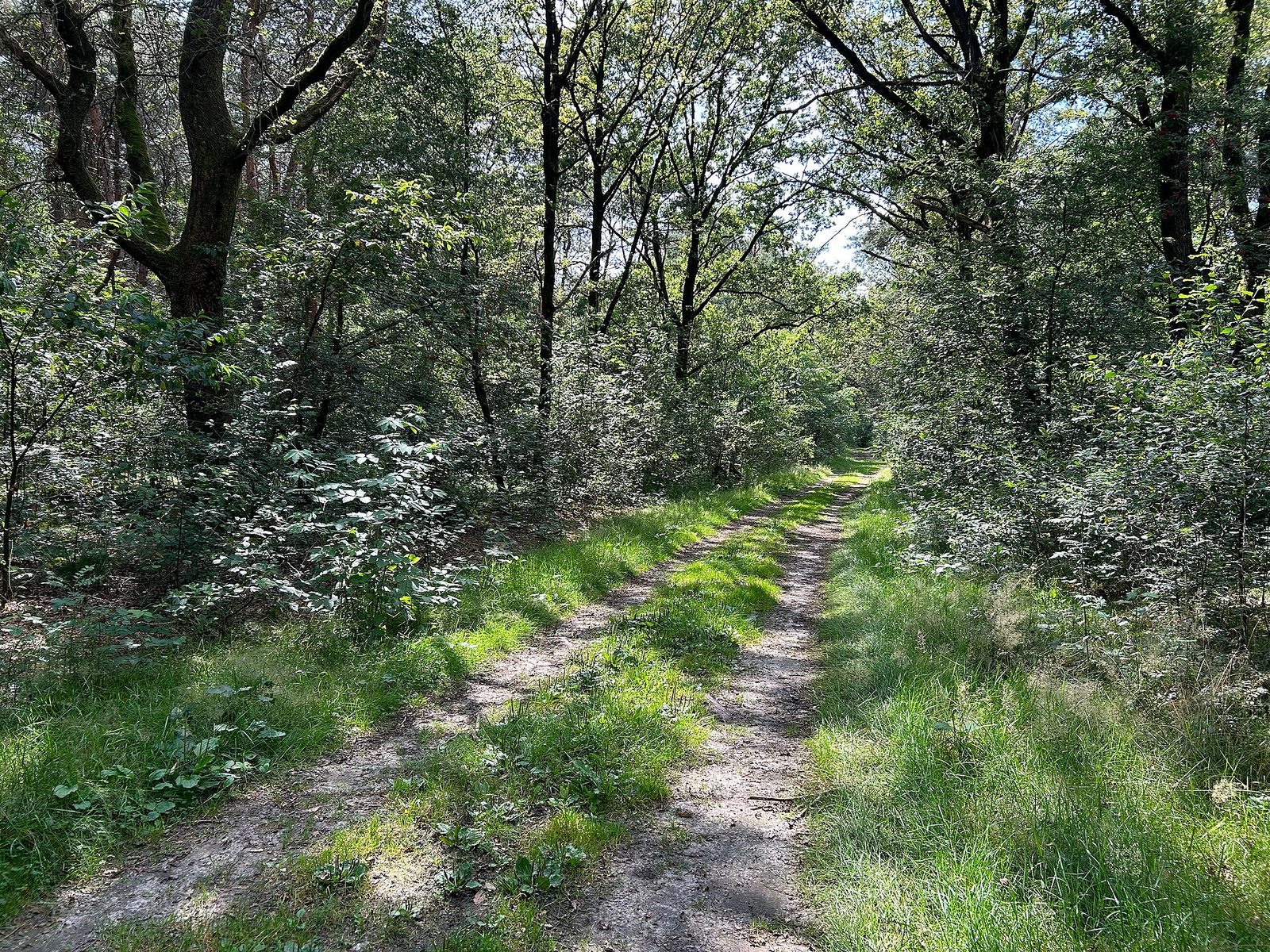Horst (Gravel), Limburg — foto 1
